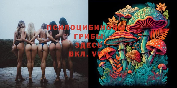 крисы Арсеньев
