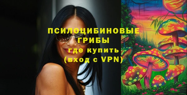 крисы Арсеньев